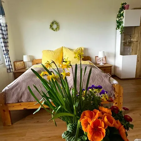 Sunset Am Wolfgangsee Apartamento *